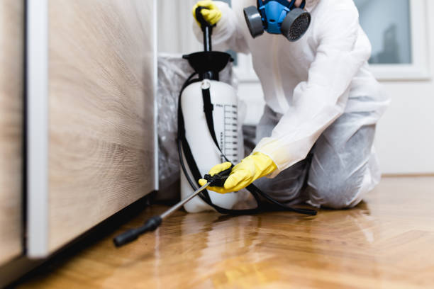 Best Pest Control for Restaurants  in Charleston, SC