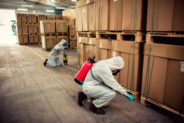 Best Flea Control Services  in Charleston, SC