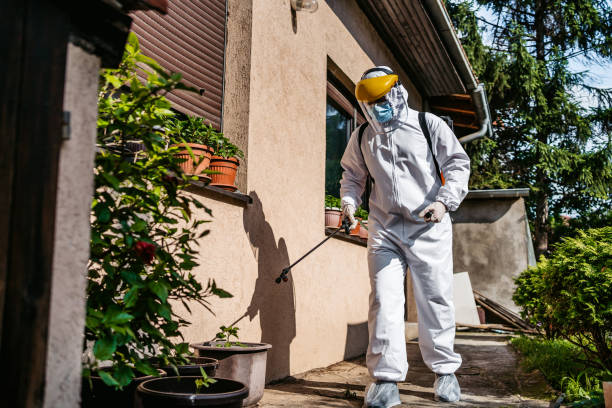 Best Flea Control Services  in Charleston, SC