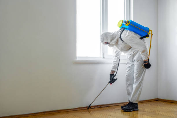 Best Pest Prevention Services  in Charleston, SC