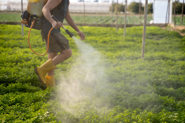 Best Affordable Pest Control Services  in Charleston, SC