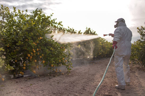 Best Emergency Pest Control  in Charleston, SC