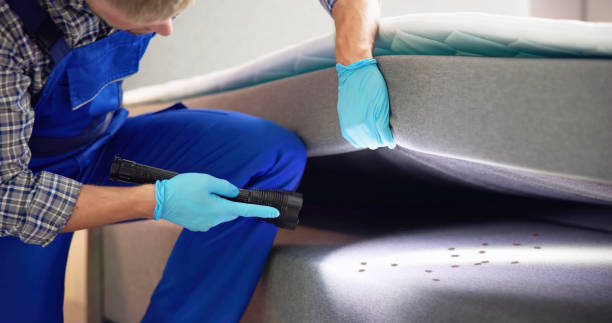 Best Cockroach Control Services  in Charleston, SC
