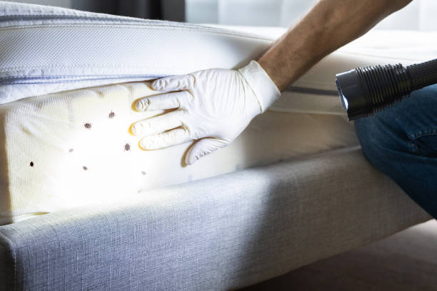 Charleston, SC Pest Control Company