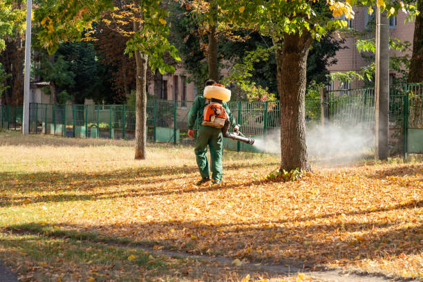 Best Termite Control Services  in Charleston, SC