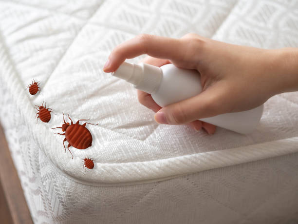Best Best Pest Control Near Me  in Charleston, SC