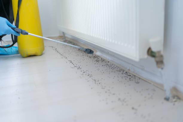 Best Pest Control Near Me  in Charleston, SC