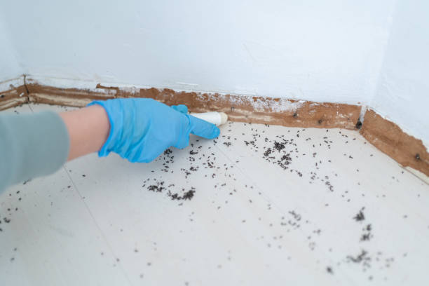  Charleston, SC Pest Control Pros