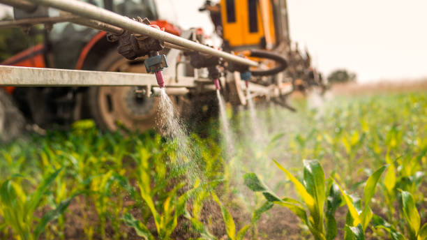 Best Ant Control Services  in Charleston, SC